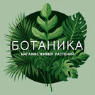 Ботаника