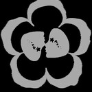 Цветы Уфы на революционной