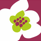 Цветочный город