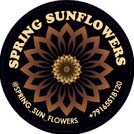 Spring-sunflowers