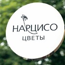 НАРЦИСО