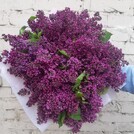 FlorMarket.RU-Флормаркет.РФ