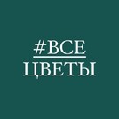 ВСЕ ЦВЕТЫ на Карякина