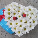 "Мир цветов"