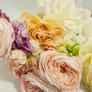 Фрагранс бюро