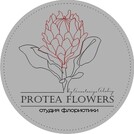 Protea Flowers