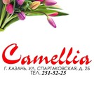 Camellia