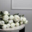 Пионово на Неве