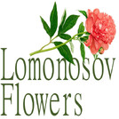Lomonosov Flowers