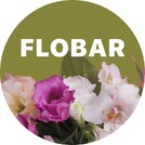 Цветочный бар