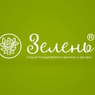 ЗЕЛЕНЬ