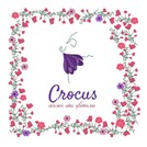 Crocus