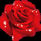 Доставка букетов Калуга