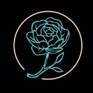 Flow Story Чапаева