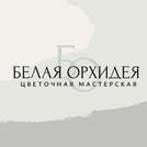 Цветочный Белая Орхидея