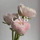 G&B ДЖИБИ Flowers