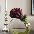 La Buquett Saint-Petersburg