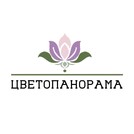 ЦВЕТОПАНОРАМА