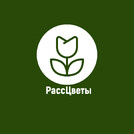РассЦветы