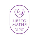 Цветомагия