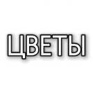 ЦВЕТЫ