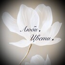 Люби-Цвети