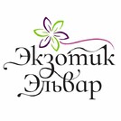 Экзотик Эльвар
