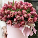 Цветы Флористика