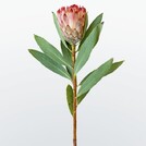 Цветы La Flora Михайловск