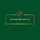 Мохнатый Кактус