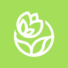 Цветы букетики