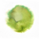 СМЕНА СЕЗОНА