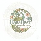 ПаваЦвет