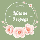 Цветы в Городе