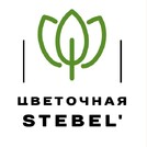 Цветочная Стебель