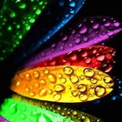 Цветик семицветик