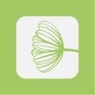 Цветочная история