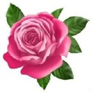 БериБукетик