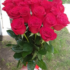 Роза ПРЕМИУМ КЛАСС