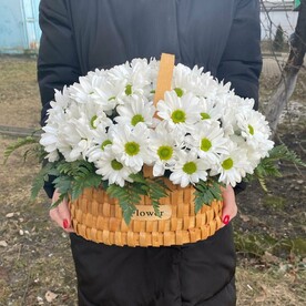 Лукошко ромашек