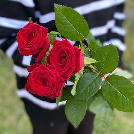 3 красные розы ред наоми