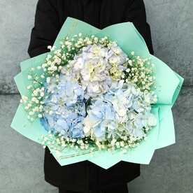 Красочное сочетание