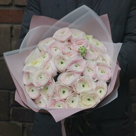 31 розовый ранункулюс (лютик). Букет 71 Kimbirly flowers