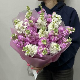 Букет живых цветов от Kimbirly Flowers из ароматной маттиолы, 19 шт,  цвет белый, розовый
