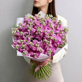 Большой ароматный букет из 51 розовой маттиолы. Букет 276 Kimbirly Flowers