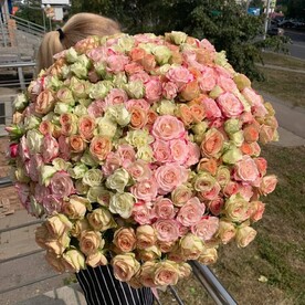 101 кустовая роза низкая цена