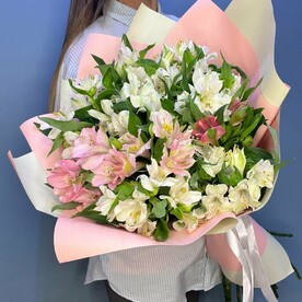 Альстромерии перуанские Лилии