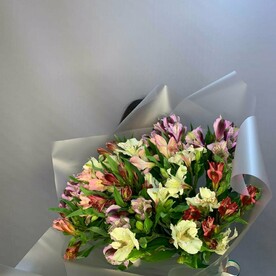 Альстромерии перуанские Лилии