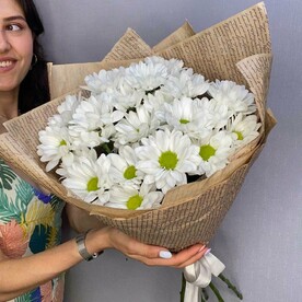 Хризантемы ромашки