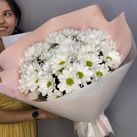 Хризантемы кустовые